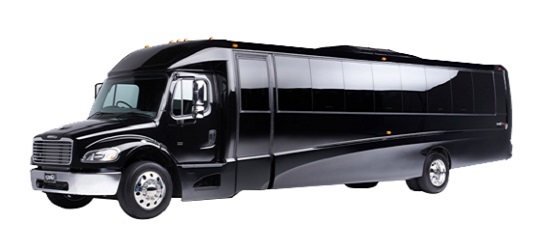 MiniBus-fleet